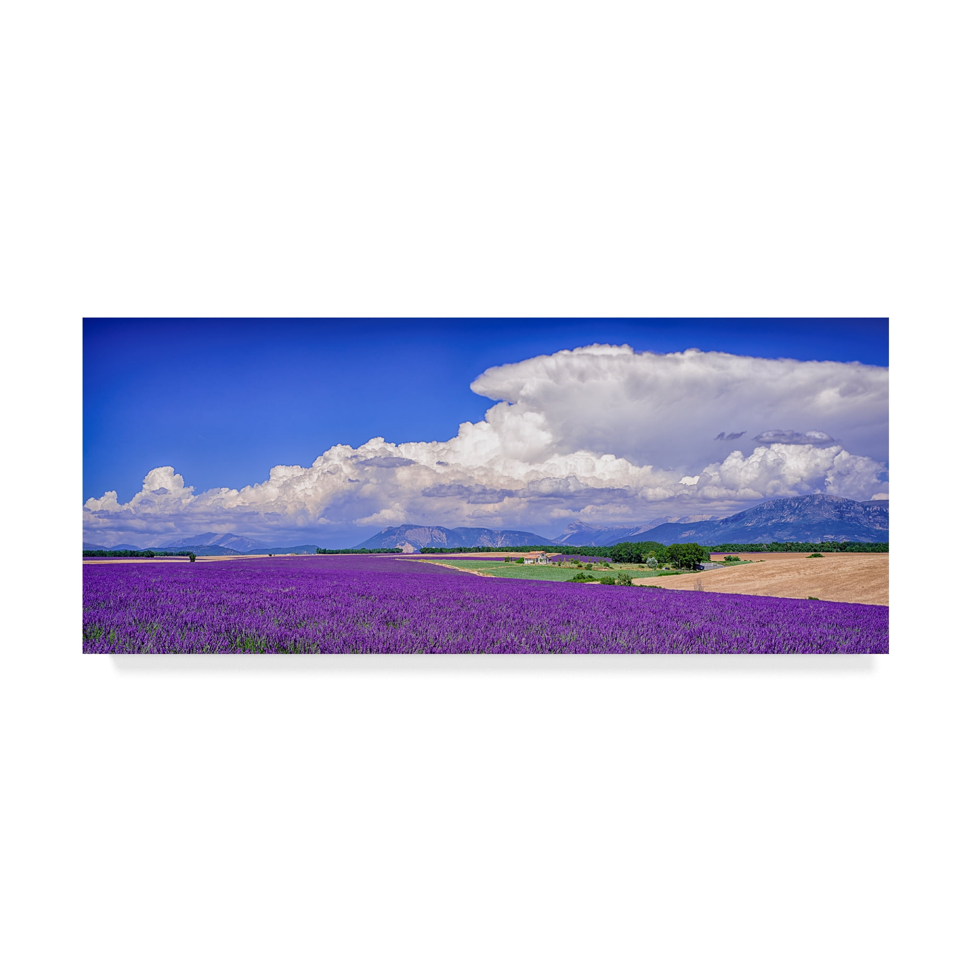 Cloud Bank Over Lavender Panorama' Canvas Art by Michael Blanchette Photography