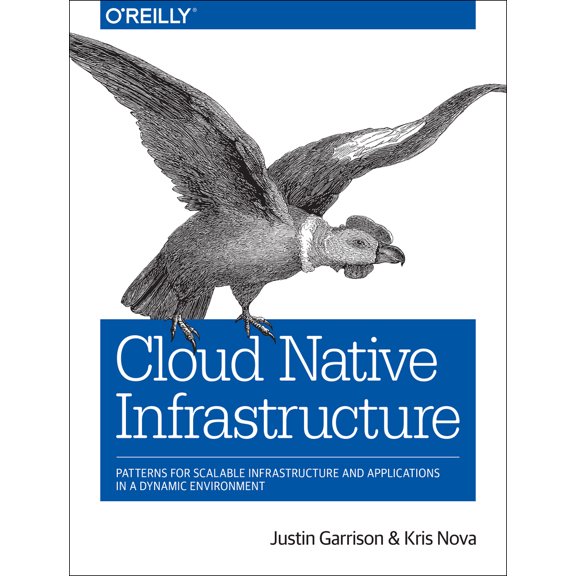 Pre-Owned Cloud Native Infrastructure: Patterns for Scalable Infrastructure and Applications in a Dynamic Environment (Paperback) 1491984309 9781491984307