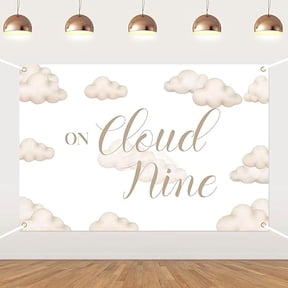 On Cloud Nine Backdrop Cloud Baby Shower Decorations White Sky Clouds Photography Background We are on Cloud Nine Backdrop for Baby Shower Party Decor Supplies 53ft