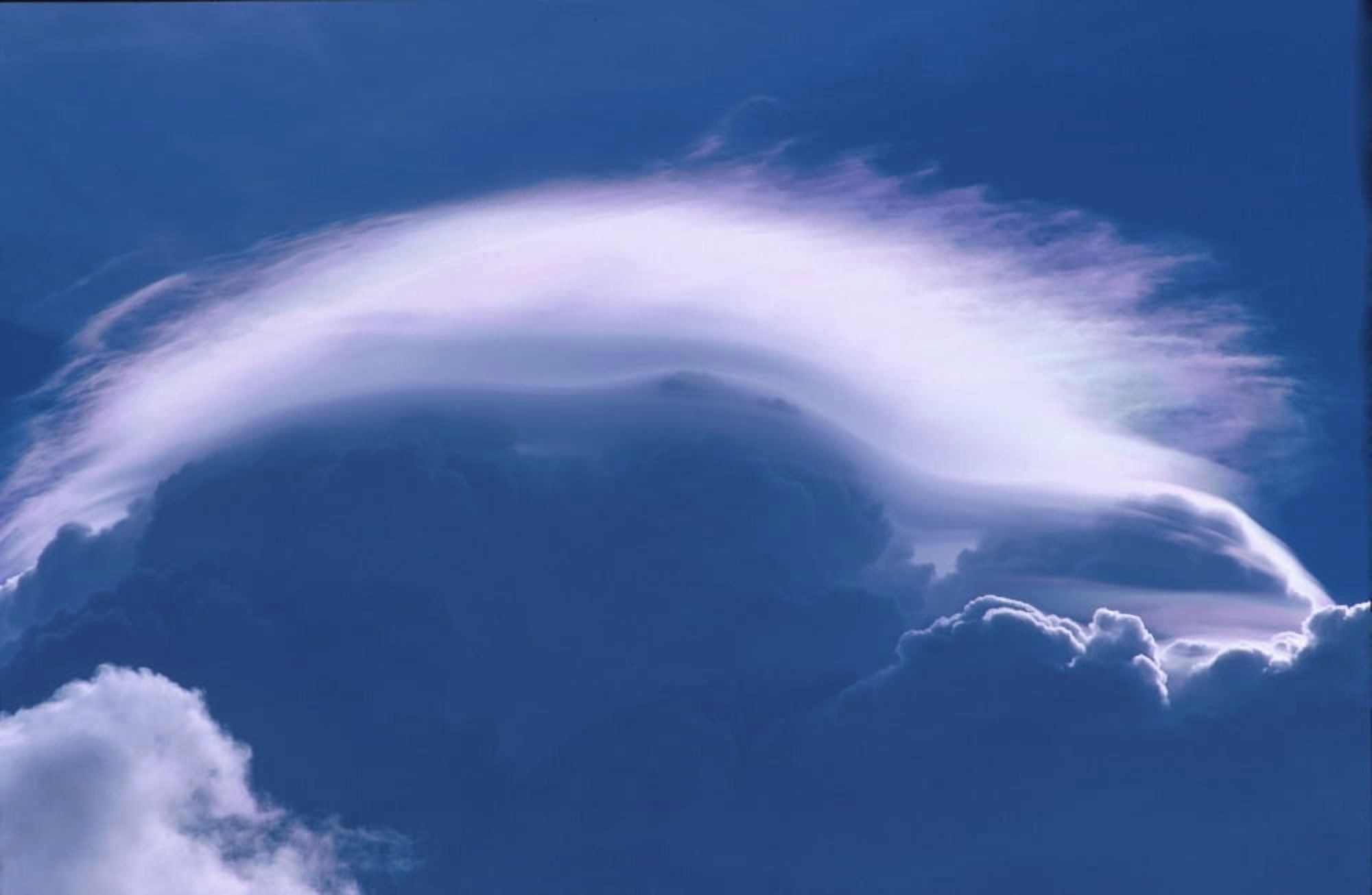 Cloud Over Thundercloud Near Wasilla Southcentral Ak Summer Scenic Canvas Art - Calvin Hall Design Pics (38 x 24)