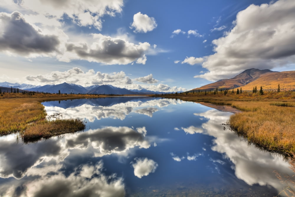 Cloud Reflections On Knob Lake Along Alascom Road Near Sheep Mountain And The Glenn Highway Southcentral Alaska Autumn Hdr Canvas Art - Lucas Payne Design Pics (38 x 24)