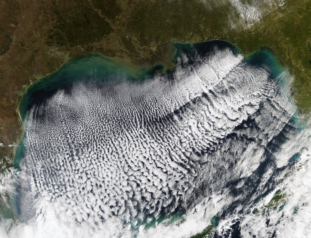 Cloud streets in the Gulf of Mexico Canvas Art - Stocktrek Images (32 x 24)