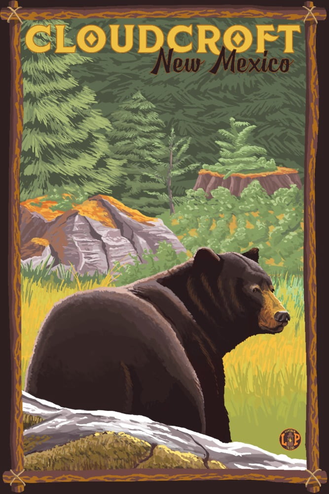 Cloudcroft, New Mexico, Black Bear in Forest (12x18 Wall Art Poster ...