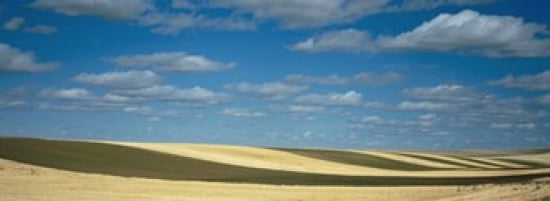 Clouded sky over a striped field Geraldine Montana USA Canvas Art - Panoramic Images (36 x 13)