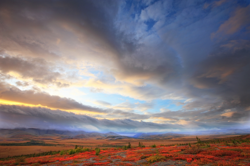 Clouds At Sunrise At The Arctic Circle Yukon Canvas Art - Robert Postma Design Pics (17 x 11)