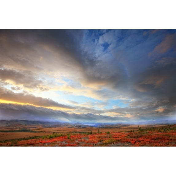 Clouds At Sunrise At The Arctic Circle, Yukon Poster Print (17 x 11)