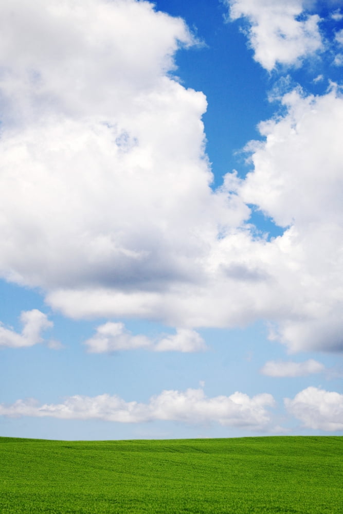 Clouds In The Sky Canvas Art - Don Hammond Design Pics (22 x 34)