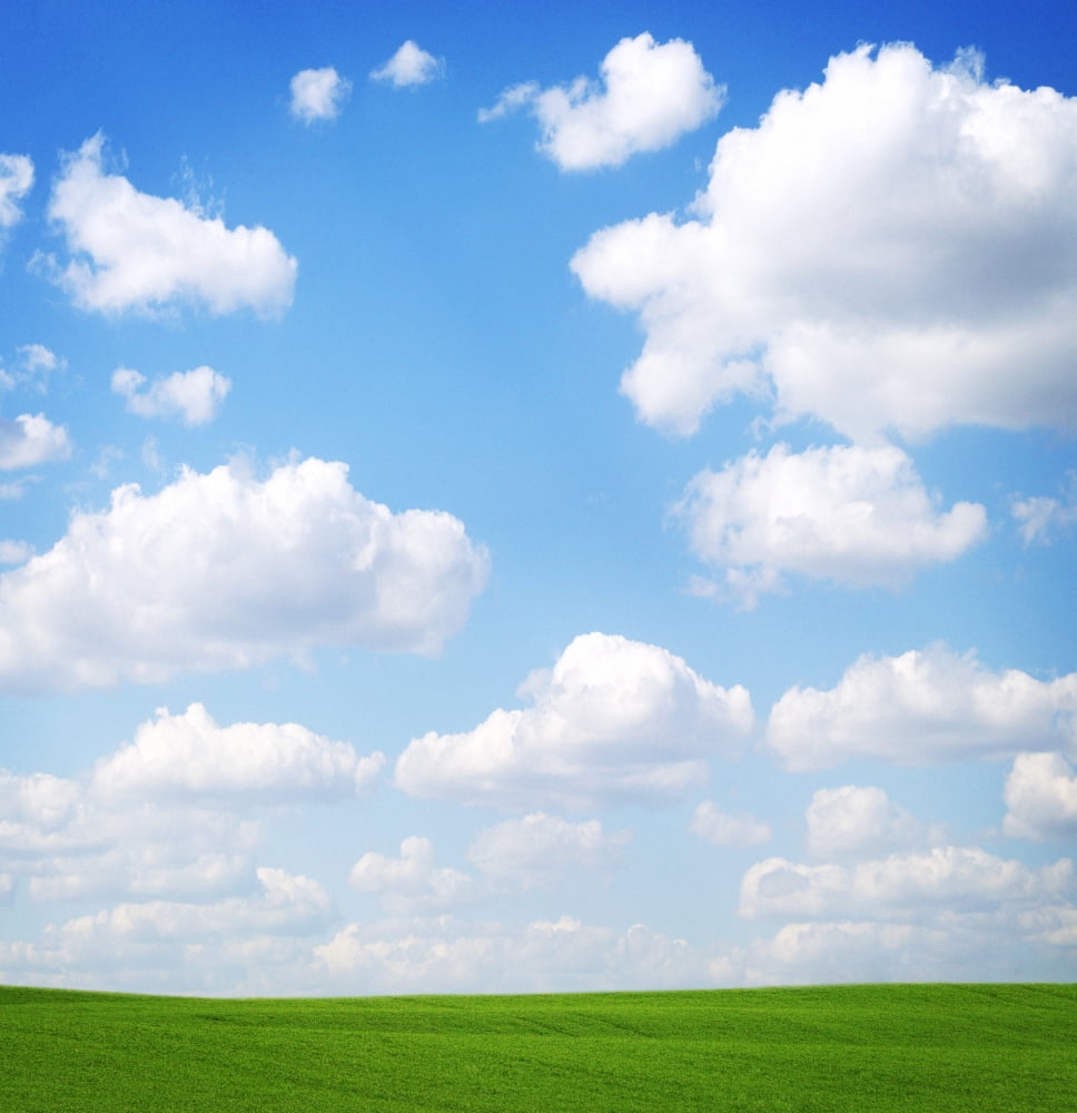 Clouds In The Sky Canvas Art - Don Hammond Design Pics (26 x 28)