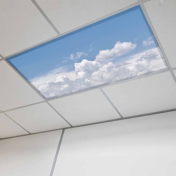 Clouds Magnetic Fluorescent Light Covers for Ceiling Lights 2 x 4 Feet, Blue White Sky Natural Landscape Office Classroom Kitchen Drop Ceiling Light Covers Lighting Filters Shade Panel 1 Pack