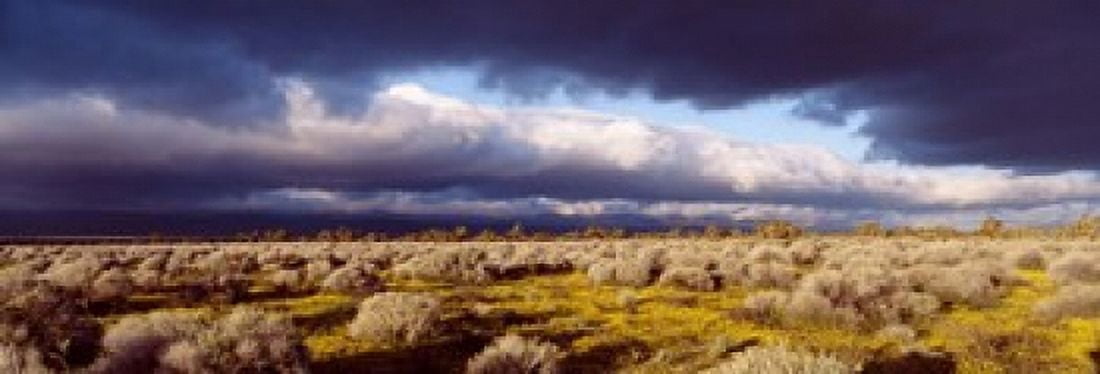 Clouds Mojave Desert California USA Canvas Art - Panoramic Images (18 x 6)