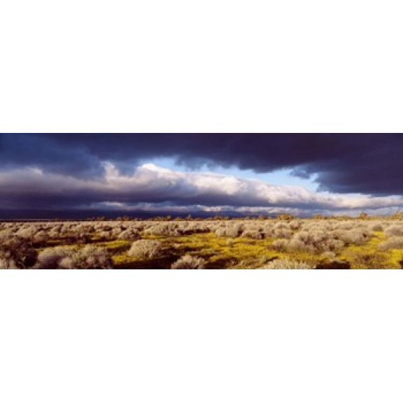 Clouds Mojave Desert California USA Canvas Art - Panoramic Images (18 x 6)
