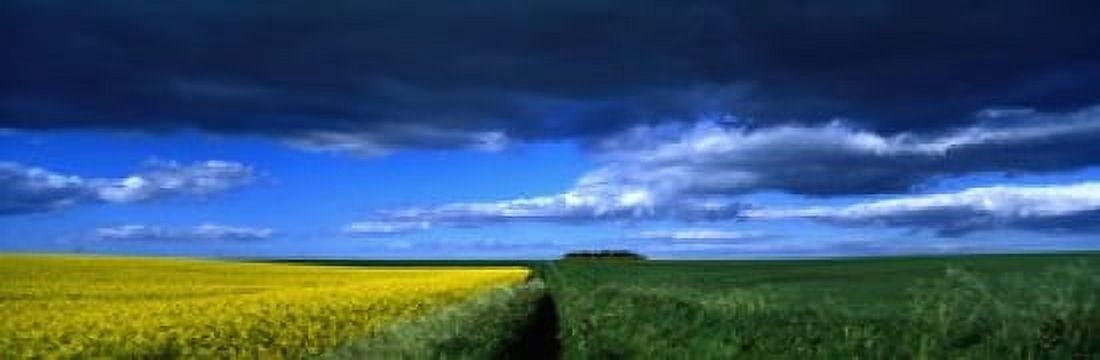 Clouds Over A Cultivated Field Hunmanby Yorkshire Wolds England United Kingdom Canvas Art - Panoramic Images (18 x 6)