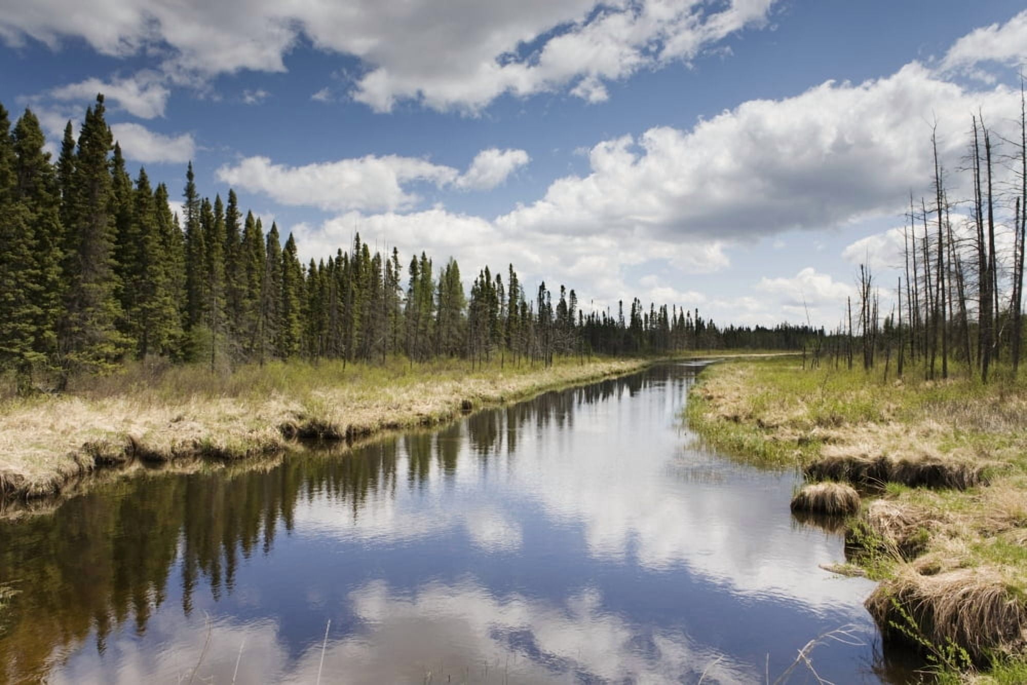 Clouds Reflected In A Tranquil River Lined With Trees Thunder Bay Ontario Canada Canvas Art - Susan Dykstra Design Pics (19 x 12)