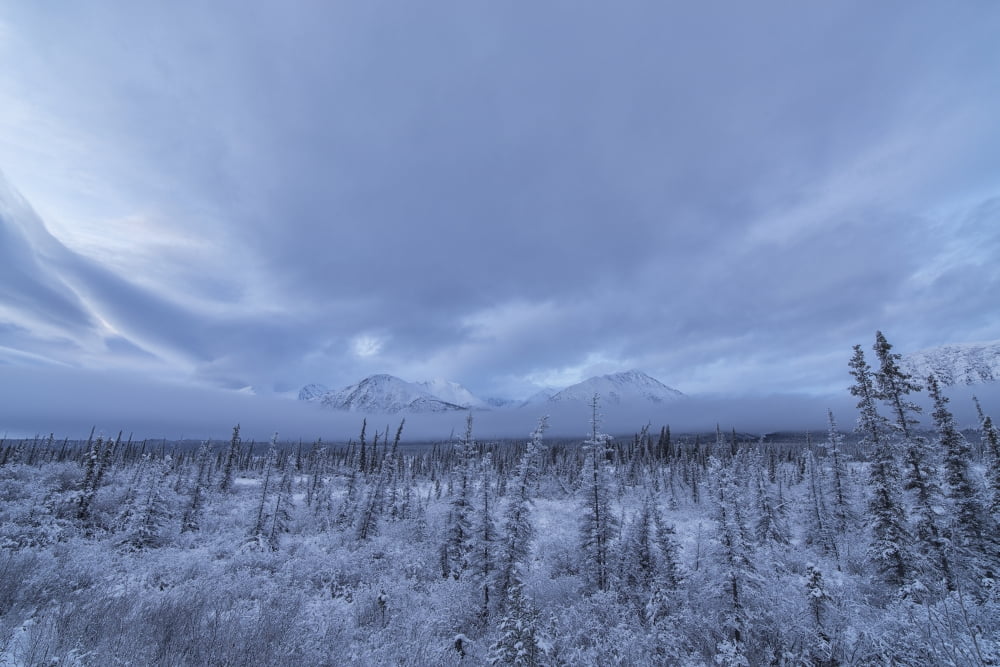 Clouds and mist envelop the mountains along the Annie Lake Road near Whitehorse Yukon Canada Canvas Art - Robert Postma Design Pics (38 x 24)