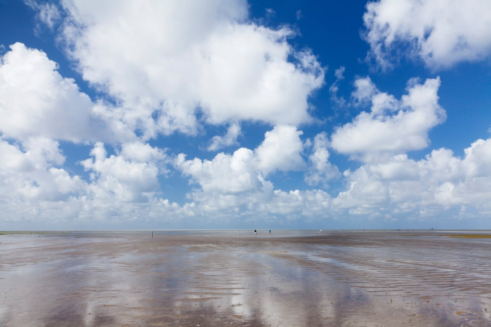 Clouds over beach Wadden Sea National Park Westerheversand Eiderstedt Peninsula Nordfriesland North Sea Schleswig-Holstein Germany Canvas Art - Panoramic Images (27 x 9)