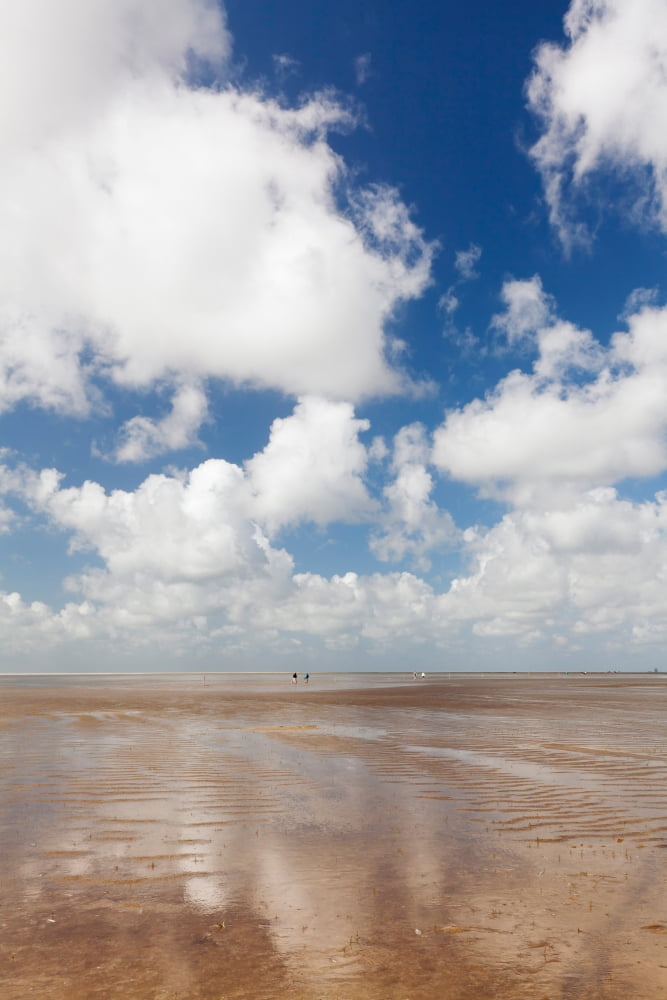 Clouds over beach Wadden Sea National Park Westerheversand Eiderstedt Peninsula Nordfriesland North Sea Schleswig-Holstein Germany Canvas Art - Panoramic Images (27 x 9)
