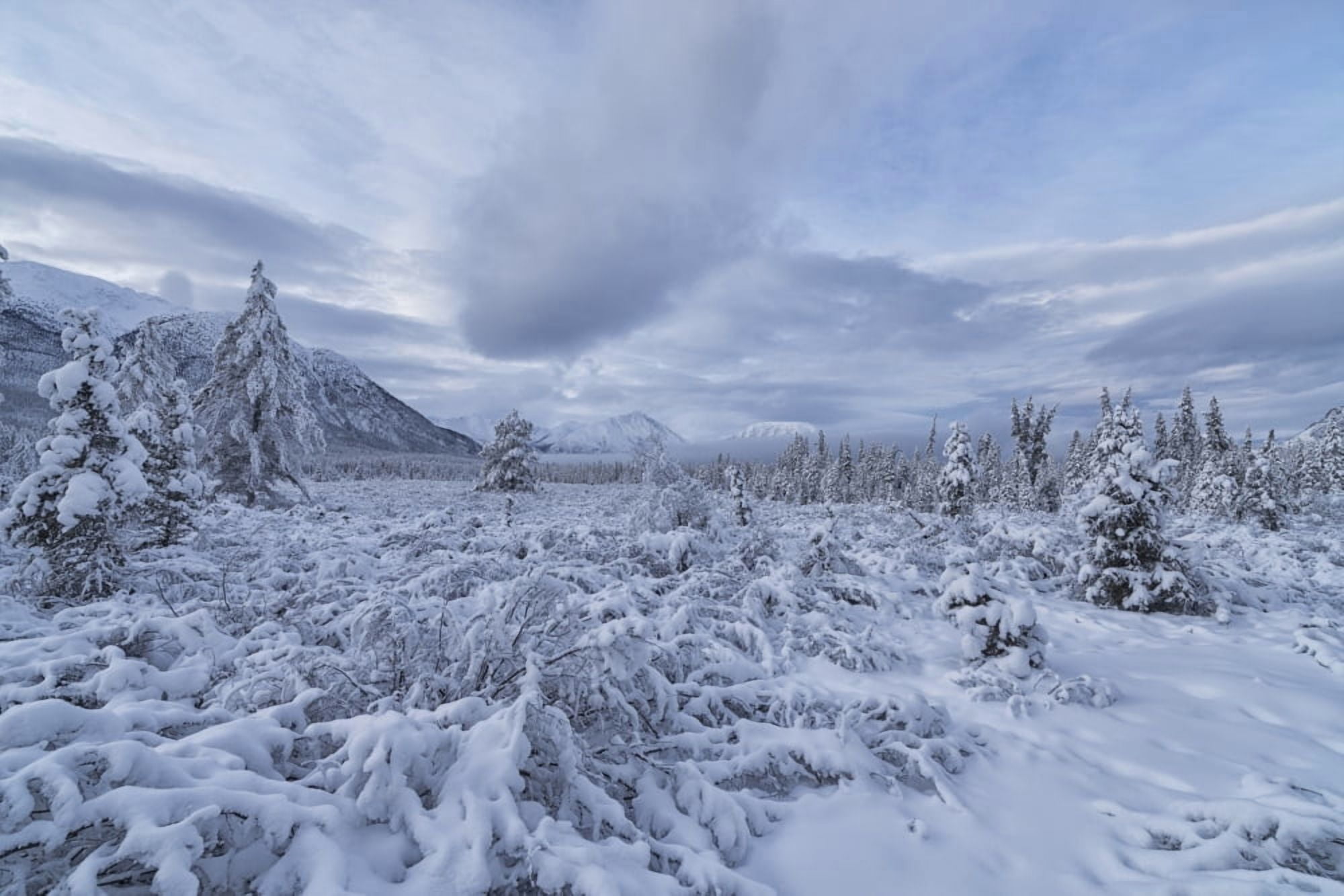 Clouds and mist envelop the mountains while snow covers the trees and shrubs during winter along the Annie Lake Road near Whitehorse Yukon Canada Canvas Art - Robert Postma Design Pics (38 x 24)