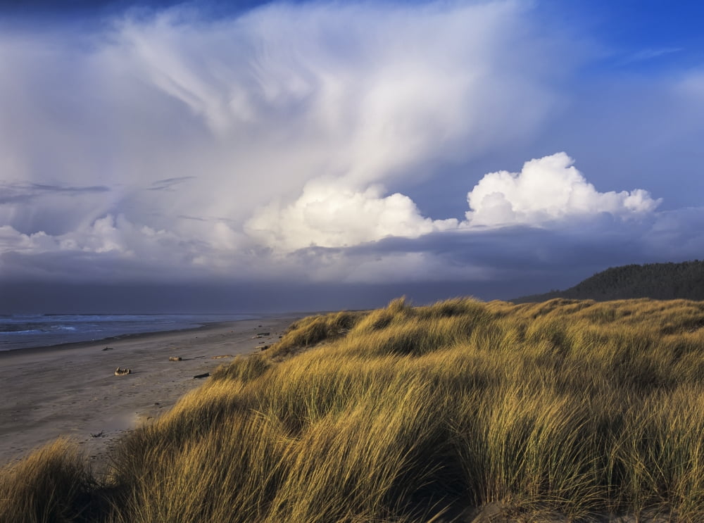 Clouds move inland over Umpqua Beach Winchester Bay Oregon United States of America Canvas Art - Robert L Potts Design Pics (32 x 24)