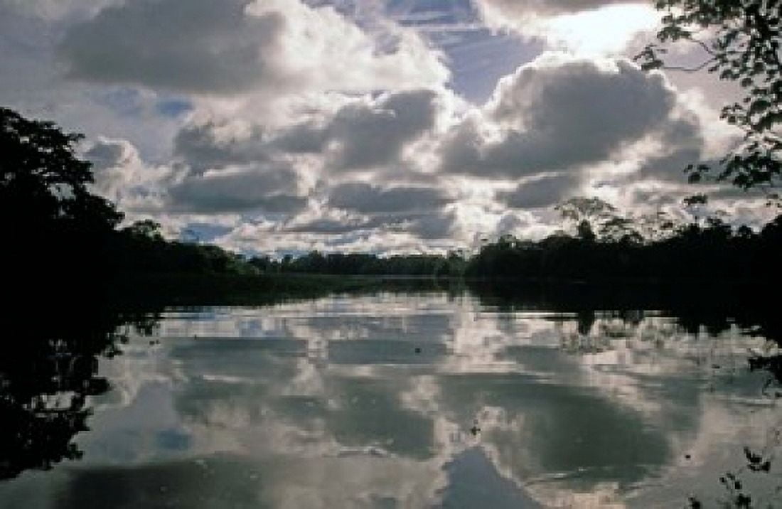 Clouds over Amazon River Amazon River Basin Peru Canvas Art - Nik Wheeler DanitaDelimont (36 x 24)