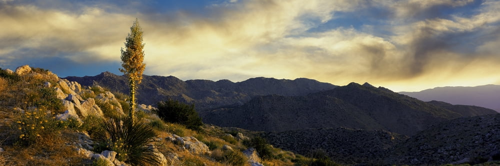 Clouds over Anza Borrego Desert State Park San Diego County California USA Canvas Art - Panoramic Images (36 x 12)