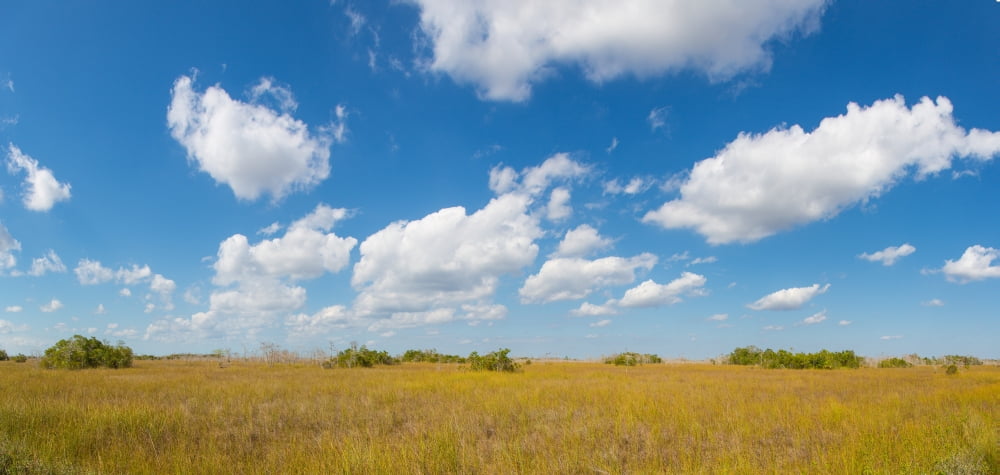 Clouds over Everglades National Park Florida USA Canvas Art - Panoramic Images (36 x 12)