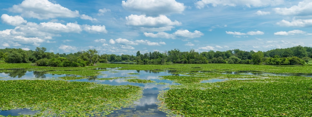 Clouds over South Park Lake South Park Buffalo Erie County New York State USA Canvas Art - Panoramic Images (36 x 12)