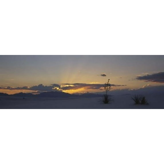 Clouds over a desert at sunset, White Sands National Monument, New Mexico, USA Poster Print (18 x 6)