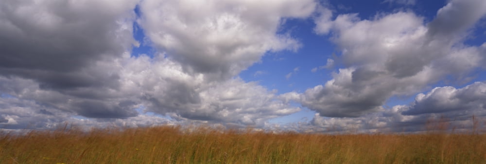 Clouds over a field Iowa USA Canvas Art - Panoramic Images (12 x 36)