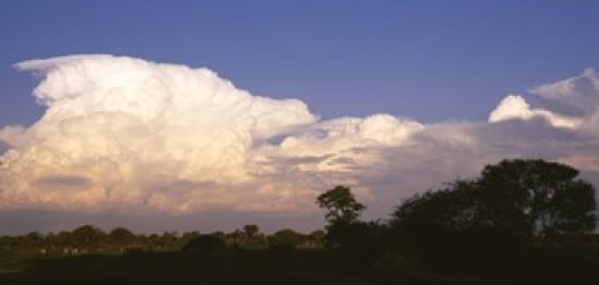 Clouds over a forest Moremi Game Reserve Botswana Canvas Art - Panoramic Images (24 x 12)