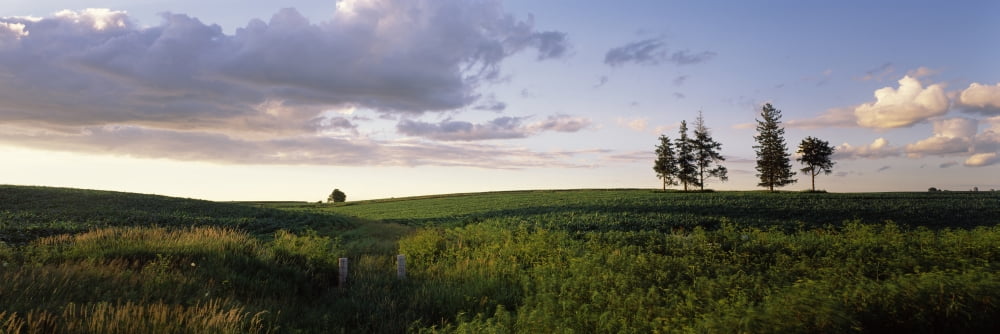 Clouds over a landscape Iowa County Wisconsin USA Canvas Art - Panoramic Images (12 x 36)