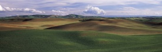Clouds over a rolling landscape Palouse Whitman County Washington State USA Canvas Art - Panoramic Images (36 x 12)