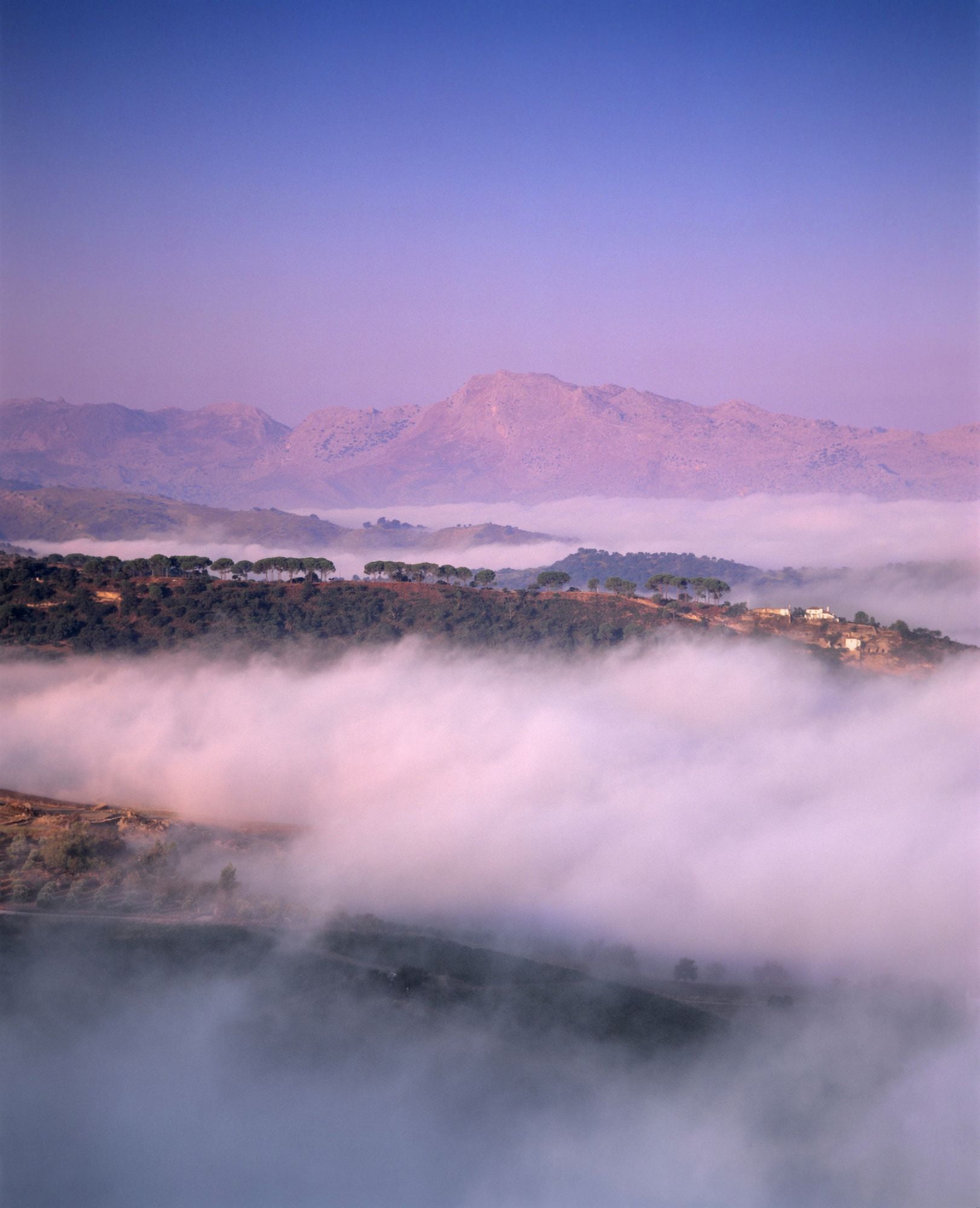 Clouds over a valley Guadalevin Valley Ronda Malaga Province Andalusia Spain Canvas Art - Panoramic Images (22 x 27)