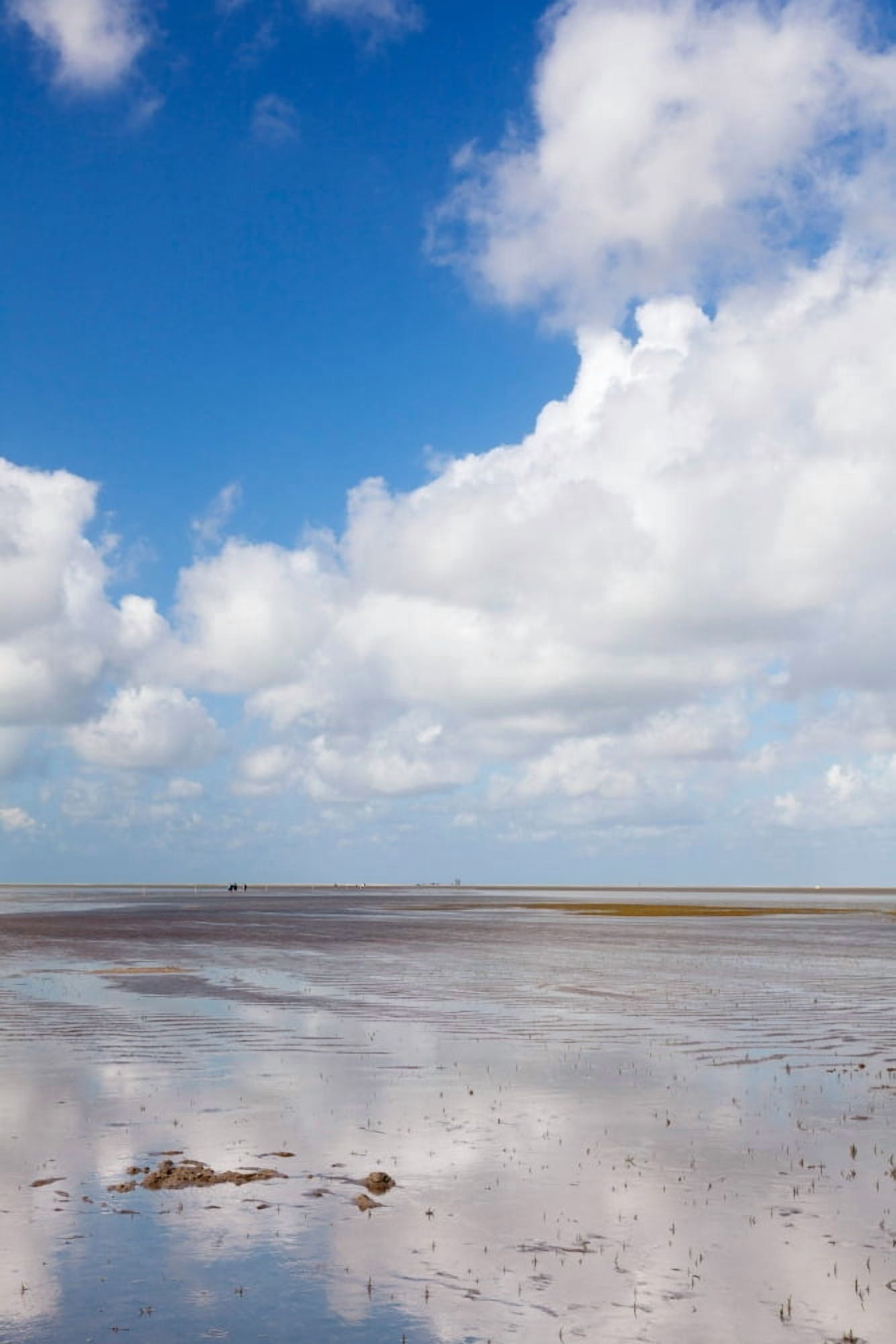 Clouds over beach Wattenmeer bei Ebbe Westerheversand Halbinsel Eiderstedt Schleswig-Holstein Germany Canvas Art - Panoramic Images (36 x 12)
