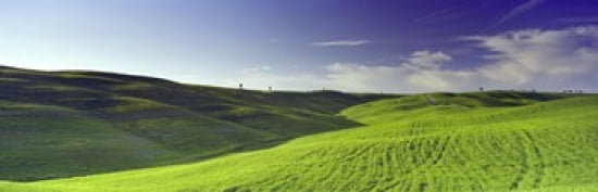 Clouds over landscape Val DOrcia Siena Province Tuscany Italy Canvas Art - Panoramic Images (36 x 12)