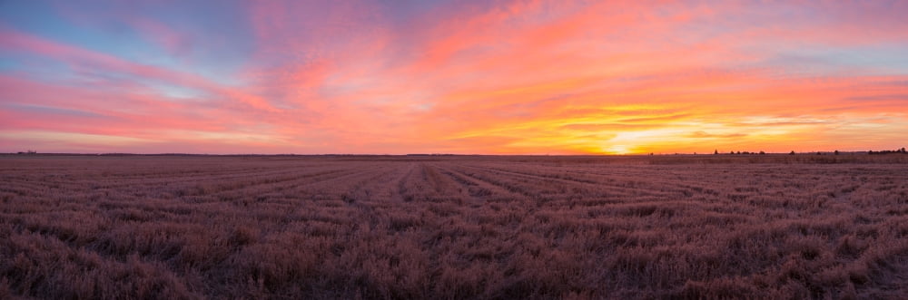 Clouds over landscape at sunrise Prairie Ridge State Natural Area Marion County Illinois USA Canvas Art - Panoramic Images (12 x 36)