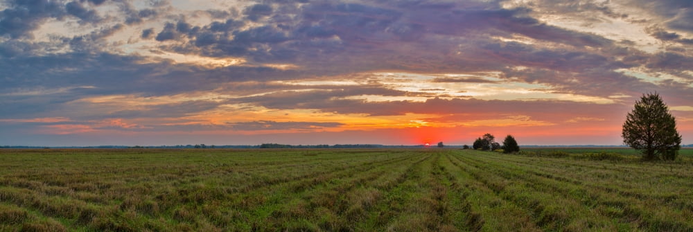 Clouds over landscape at sunrise Prairie Ridge State Natural Area Marion County Illinois USA Canvas Art - Panoramic Images (6 x 18)