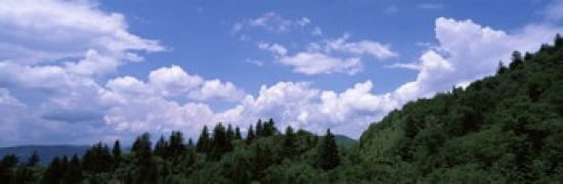 Clouds over mountains Cherokee Blue Ridge Parkway North Carolina USA Canvas Art - Panoramic Images (36 x 12)