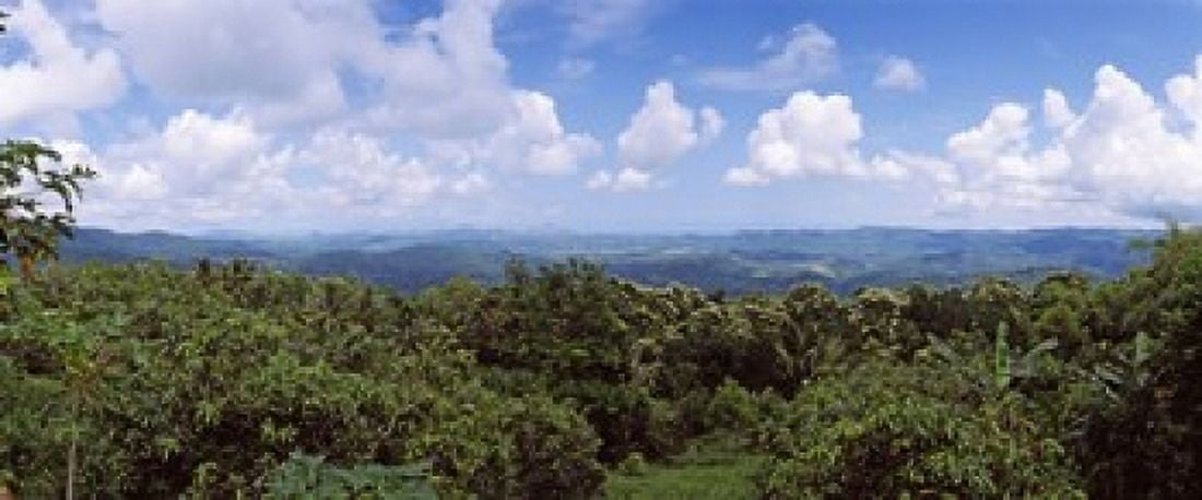 Clouds over mountains Flores Island Indonesia Canvas Art - Panoramic Images (30 x 13)