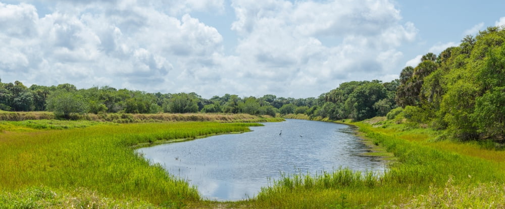 Clouds over the Myakka River Myakka River State Park Sarasota County Florida USA Canvas Art - Panoramic Images (27 x 9)