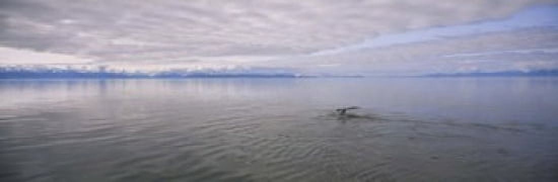 Clouds over the sea Frederick Sound Alaska USA Canvas Art - Panoramic Images (18 x 6)