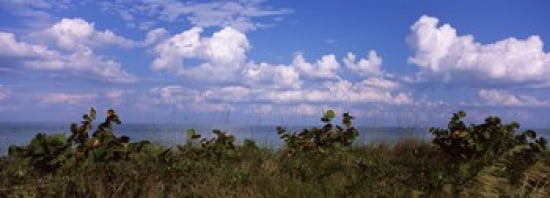 Clouds over the sea Tampa Bay Gulf Of Mexico Anna Maria Island Manatee County Florida USA Canvas Art - Panoramic Images (36 x 13)