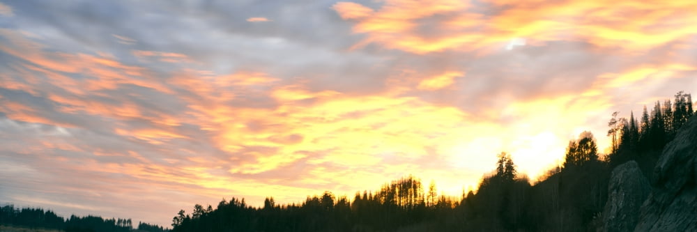 Clouds over trees at dusk Trinidad Humboldt County California USA Canvas Art - Panoramic Images (6 x 18)