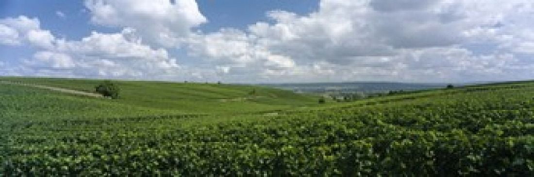 Clouds over vineyards Mainz Rhineland-Palatinate Germany Canvas Art - Panoramic Images (18 x 6)