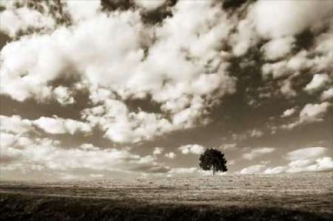 Cloudy Skies I Canvas Art - Alan Hausenflock (12 x 18)