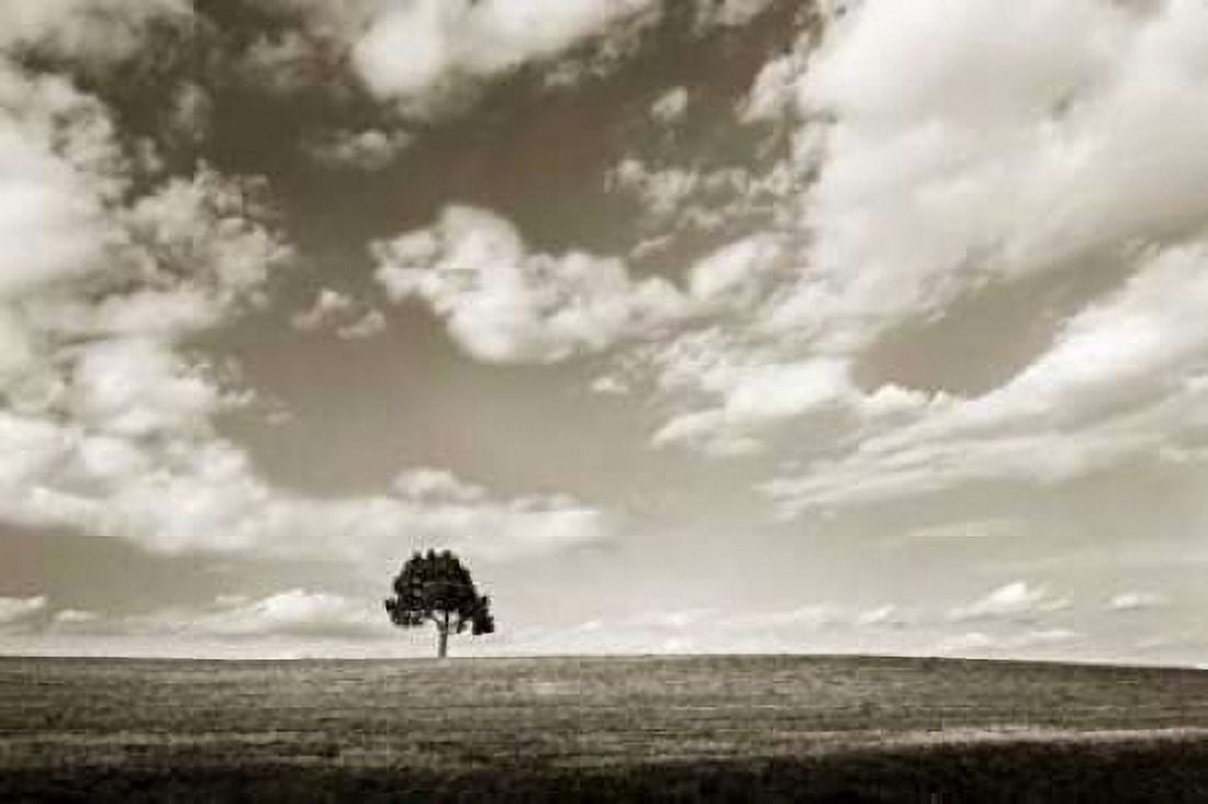 Cloudy Skies III Canvas Art - Alan Hausenflock (24 x 36)