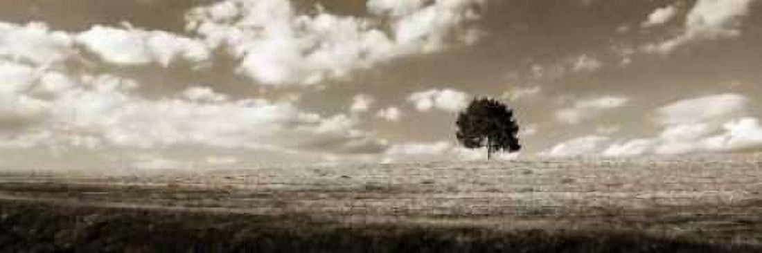 Cloudy Skies Panel I Canvas Art - Alan Hausenflock (8 x 24)