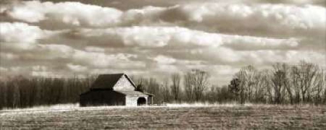 Cloudy Skies Panel II Canvas Art - Alan Hausenflock (24 x 48)