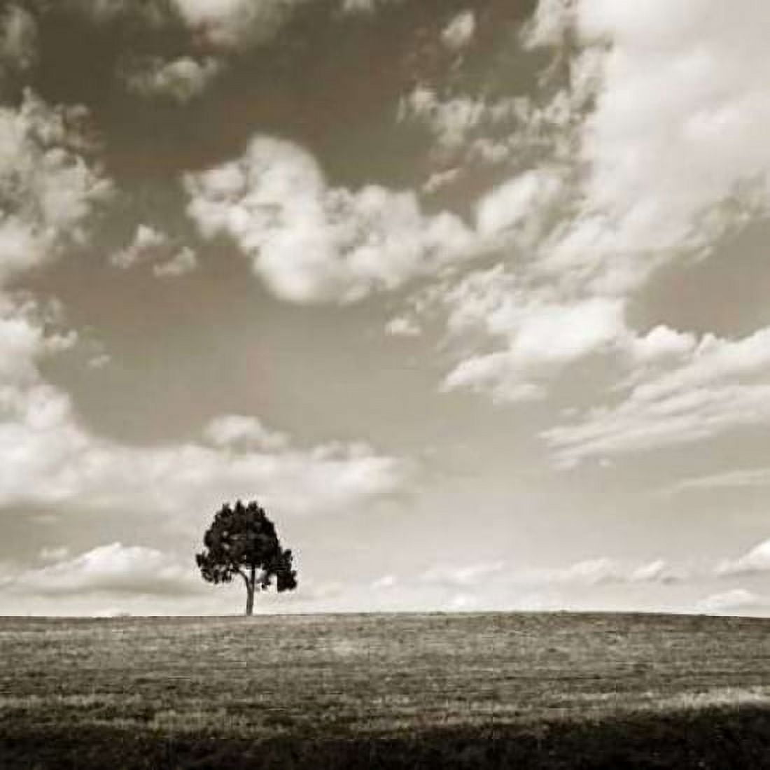 Cloudy Skies Sq III Canvas Art - Alan Hausenflock (24 x 24)