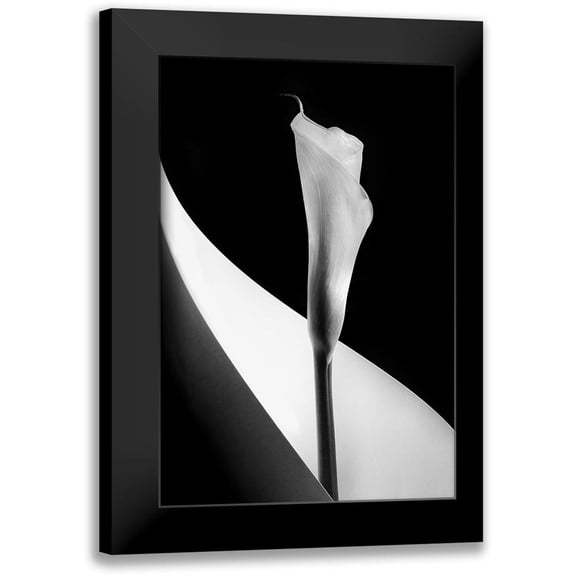 Clough, Stephen 11x14 Black Modern Framed Museum Art Print Titled - Calla Lily