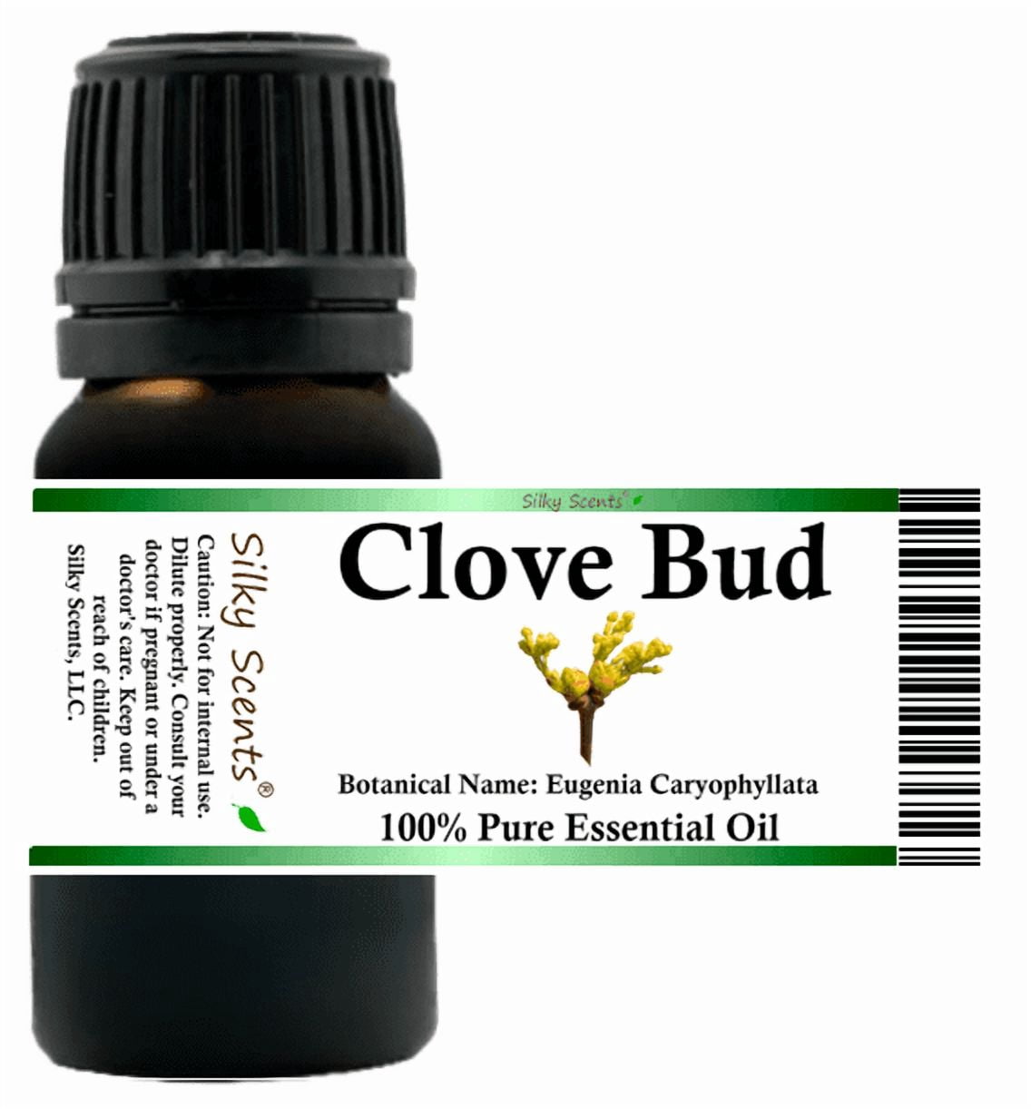 Clove Bud Essential Oil 1 fl oz (30 ml) - 100% Pure and Natural by Silky Scents